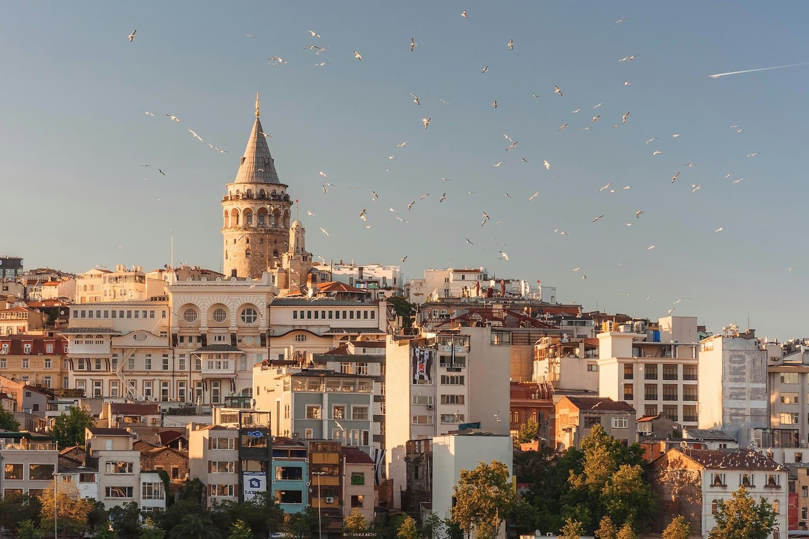 Hakkımızda